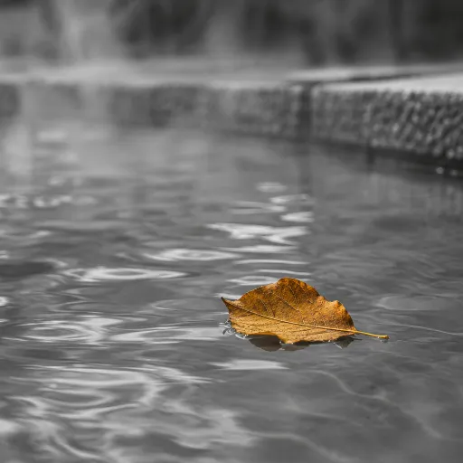 Fall colour and warm water: Hungary's autumn spa escapes as the leaves turn